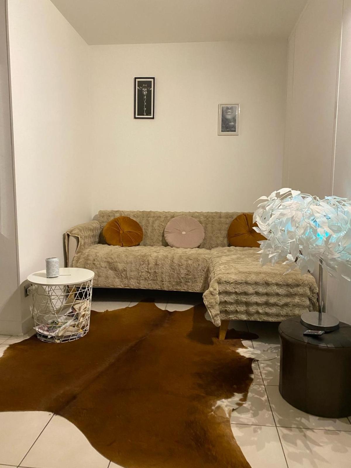 Super T2 Avec Piscine Lyon 3Emeアパートメント エクステリア 写真